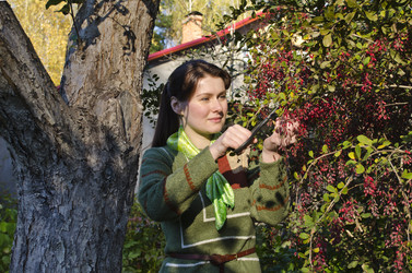 Similar image 1589720