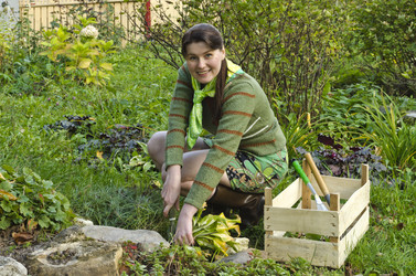 Similar image 1589726