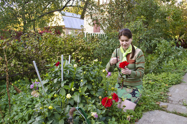 Similar image 1589742