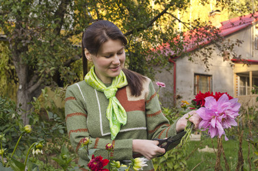 Similar image 1589743