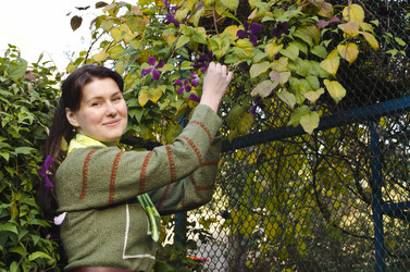 Similar image 1589747