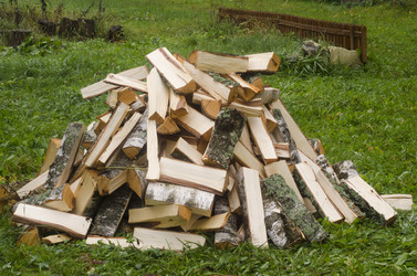 Similar image 1589750