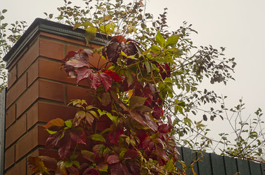 Similar image 1589764