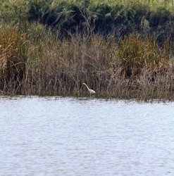 Similar image 1589799