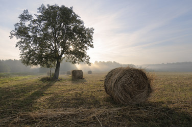 Similar image 1589883