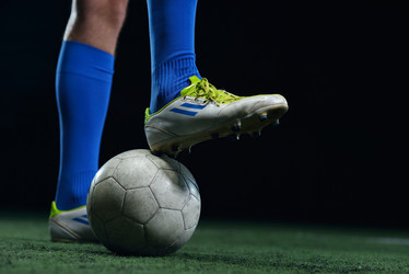 Similar image 1589954