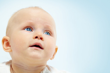 Similar image 1589986