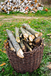 Similar image 1590201