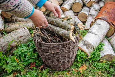 Similar image 1590202