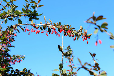 Similar image 1590219