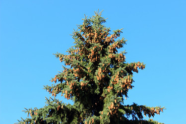 Similar image 1590220