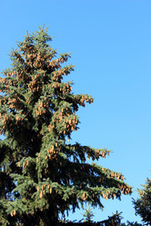 Similar image 1590221