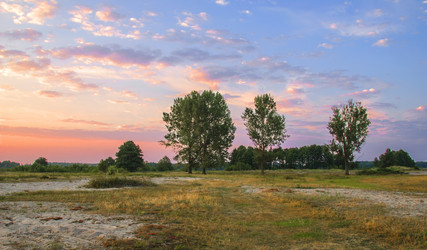 Similar image 1590291