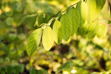 Similar image 1590304