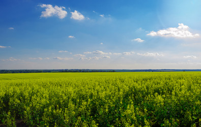 Similar image 1590305