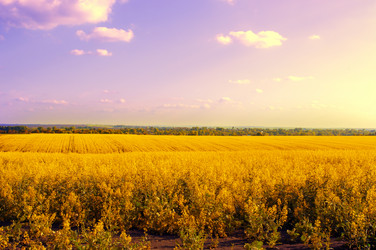 Similar image 1590322