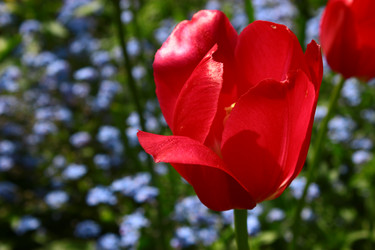 Similar image 1590326