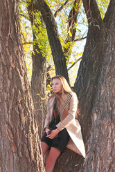 Similar image 1590353