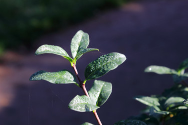 Similar image 1590361