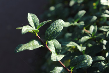 Similar image 1590362