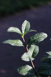 Similar image 1590363