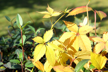 Similar image 1590364