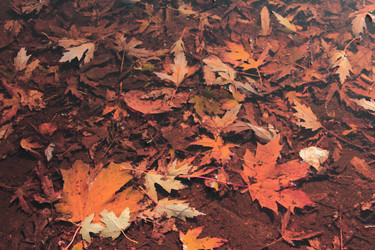 Similar image 1590365