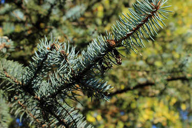 Similar image 1590366