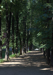 Similar image 1590369