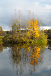 Similar image 1590379