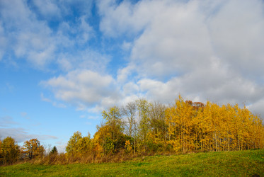 Similar image 1590383