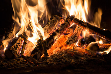 Similar image 1590386