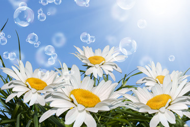 Similar image 1590397