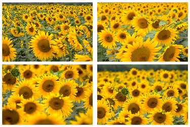 Similar image 1590412