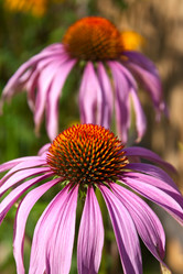 Similar image 1590414