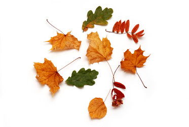 Similar image 1590424