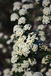 Similar image 1590439