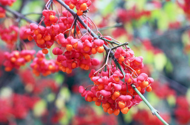 Similar image 1590440