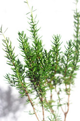 Similar image 1590444