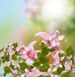 Similar image 1590448