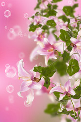 Similar image 1590449