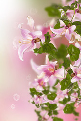 Similar image 1590451