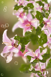 Similar image 1590452