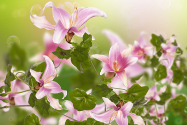 Similar image 1590453