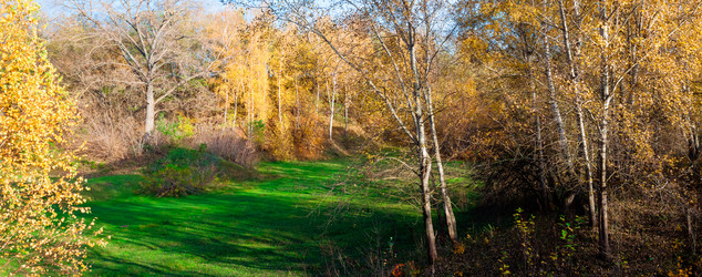 Similar image 1590480