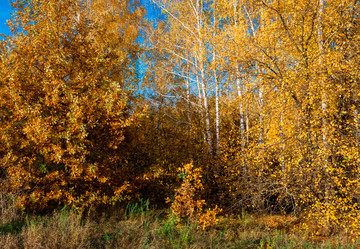 Similar image 1590481