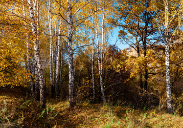 Similar image 1590484