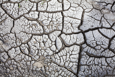 Similar image 1590487