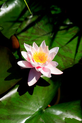 Similar image 1590523