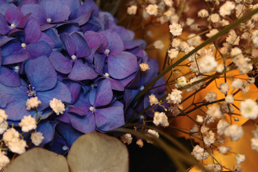 Similar image 1590602